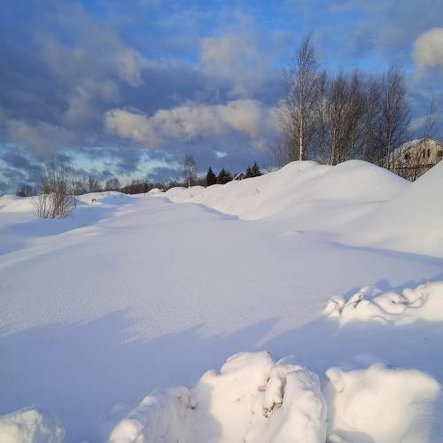 Photo #7106652