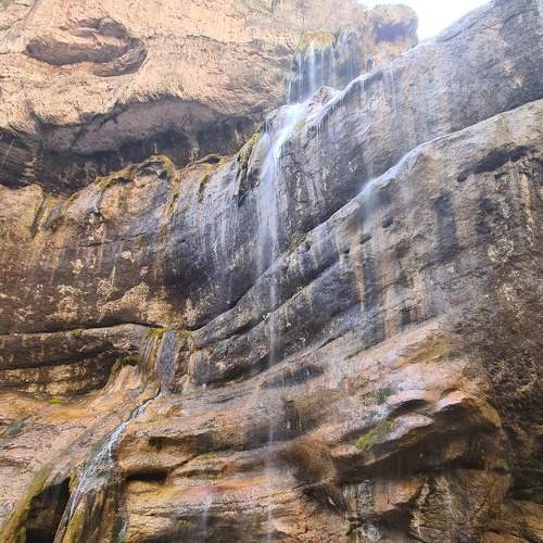 Photo #7106699