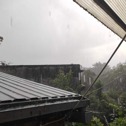 Photo #7107281