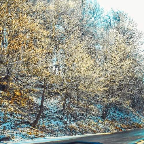 Photo #7107441