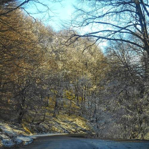 Photo #7107442
