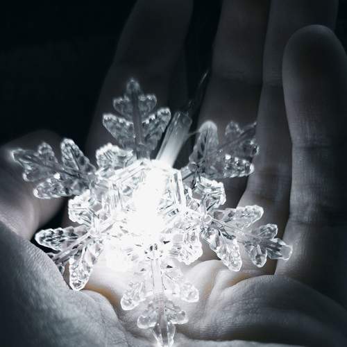Photo #7107624
