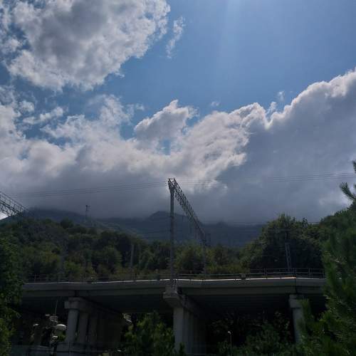 Photo #7107750