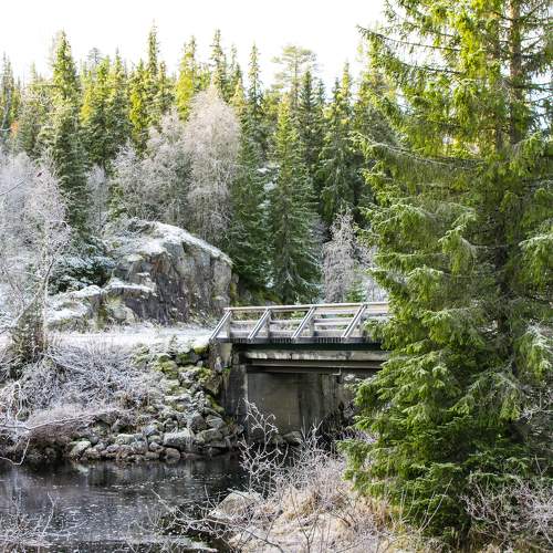 Photo #7107860