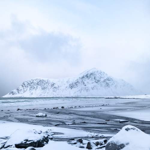 Photo #7107866