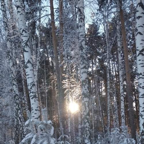 Photo #7108016