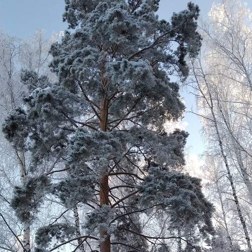 Photo #7108049