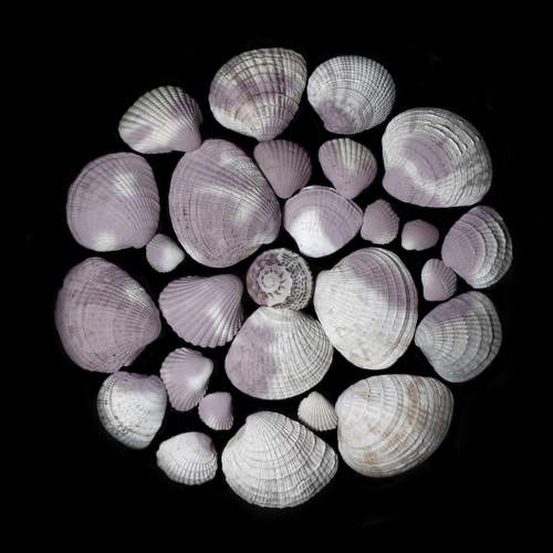 Photo #7108251