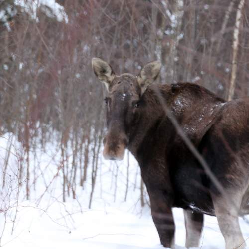 Photo #7108265