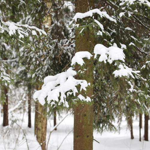 Photo #7108267