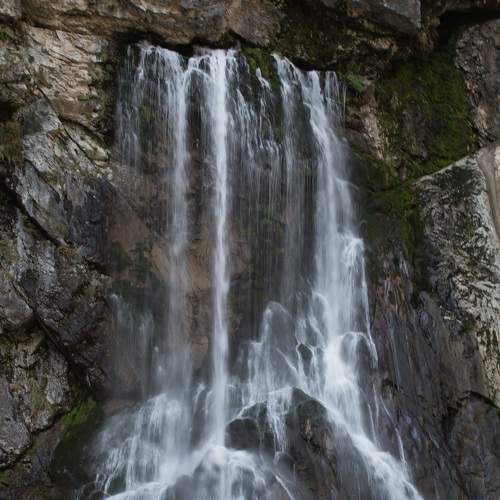 Photo #7108615
