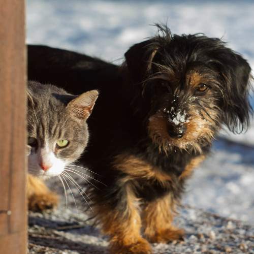 Photo #7108633