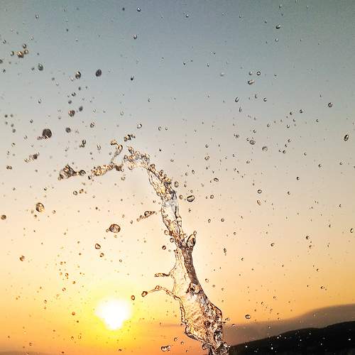 Photo #7108635