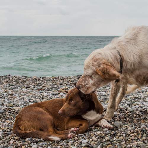 Photo #7108641