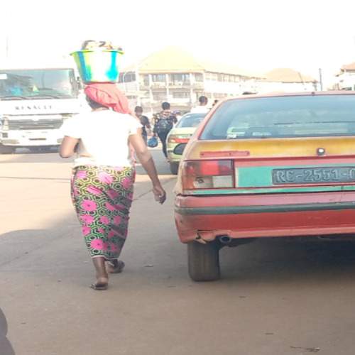 Le danger des chiens errants à Conakry