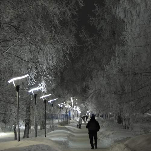 Центральная аллея, посёлок Северный