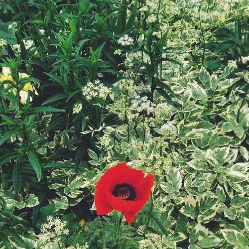 Photo #7109782