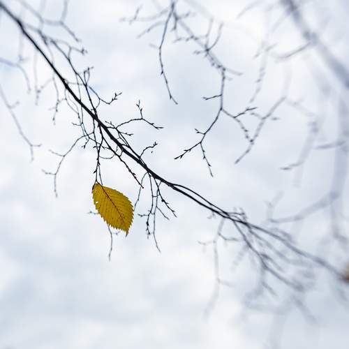 Photo #7110128