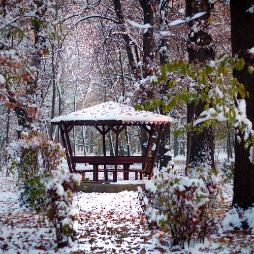 Winter scenery with a wooden gazebo in Borisova gradina park