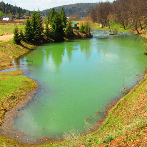 Photo #7110600