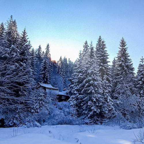 Photo #7110602