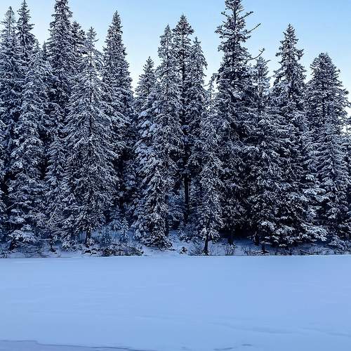 Photo #7110604
