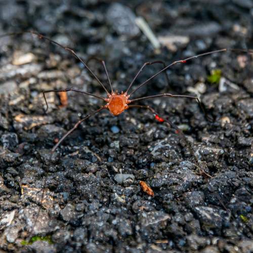 Photo #7110655