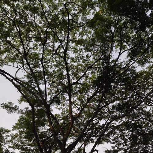 Photo #7110753