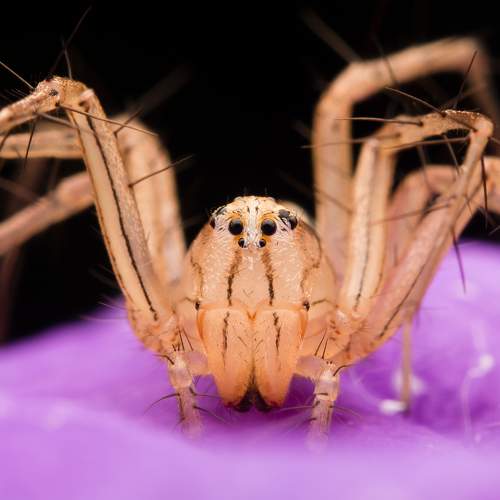 Photo #7110774