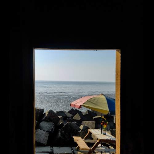 Photo #7110810
