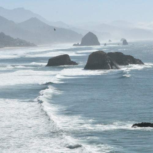 Photo #7110822