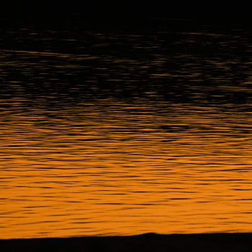 Photo #7111011