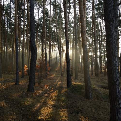 Photo #7111099