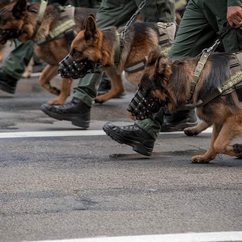 Photo #7111208