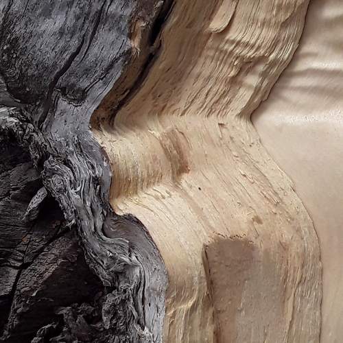 Photo #7111259