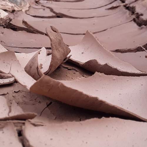 Photo #7111260