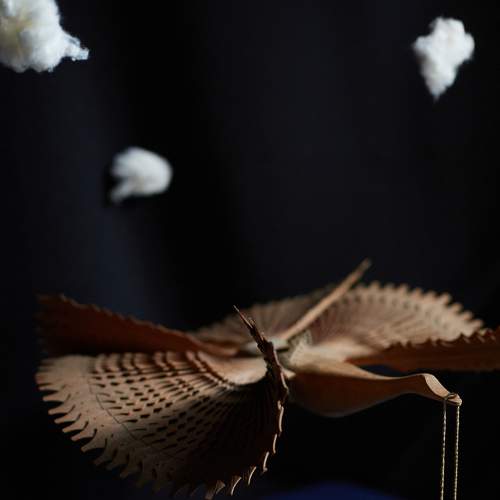 Photo #7111268