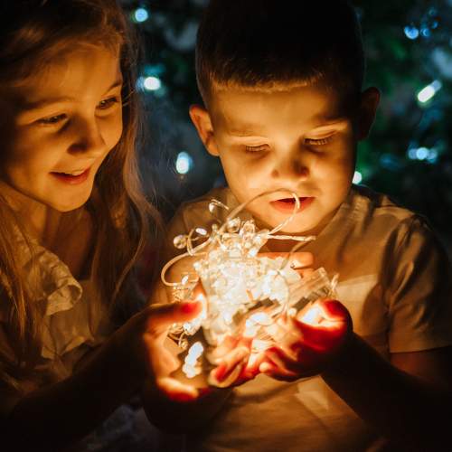 Photo #7111510