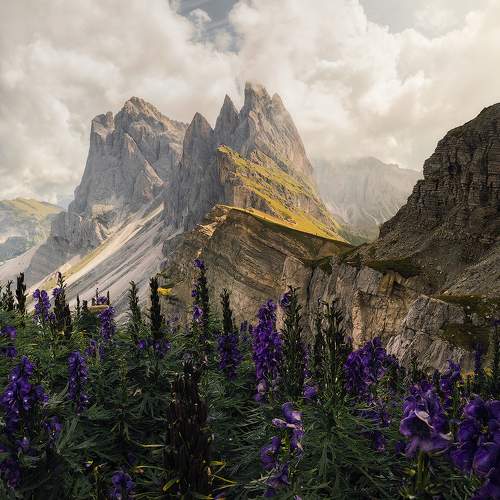 Photo #7111688