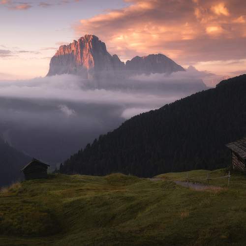 Photo #7111701