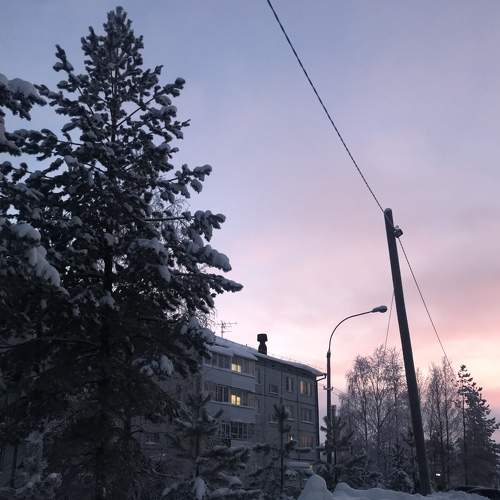 Photo #7111822
