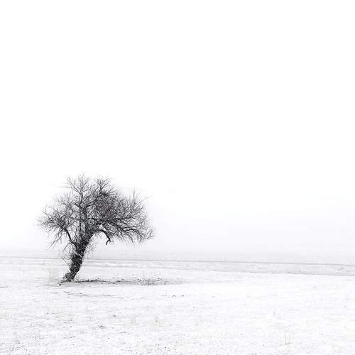 alone