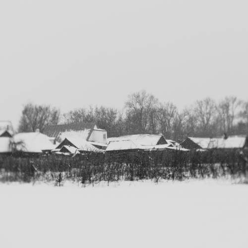 Photo #7112012
