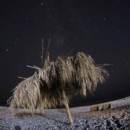 Photo #7112131