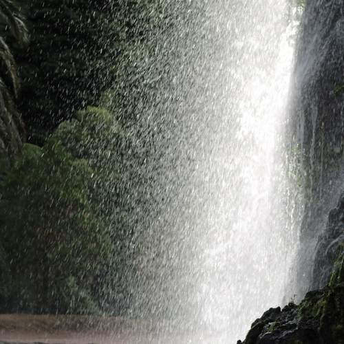 Photo #7112183