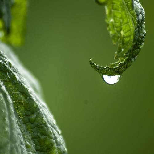 Photo #7112267