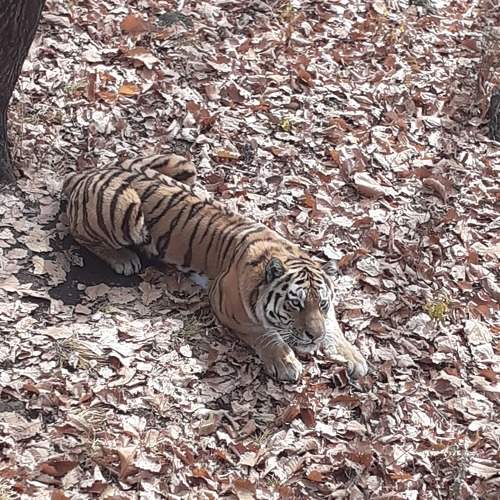 Photo #7112591