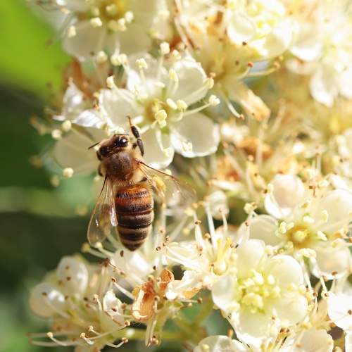Photo #7112682
