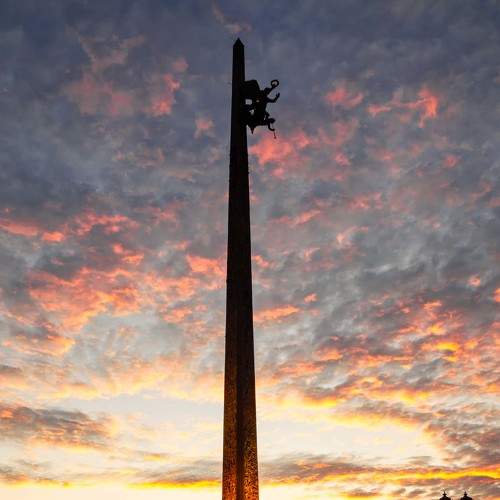 Photo #7113044