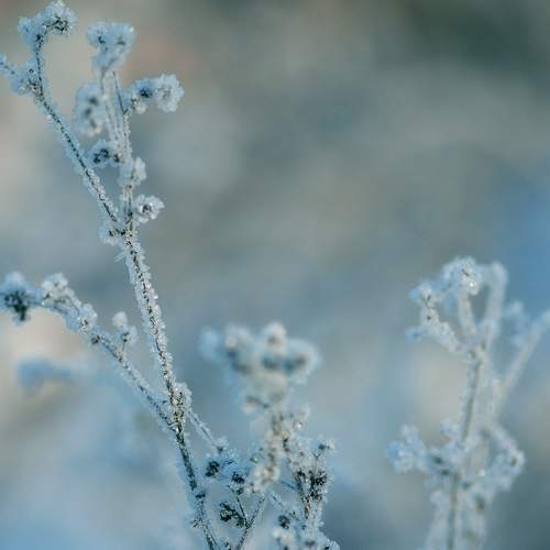 Photo #7113056